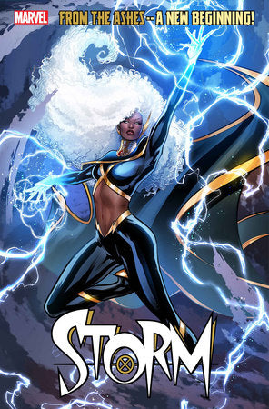 Storm #1 (Poster)